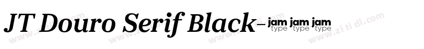 JT Douro Serif Black字体转换